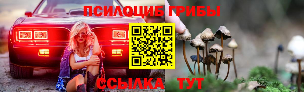 Галлюциногенные грибы мицелий  Галлюциногенные грибы ЛСД  Слободской  закладки  Вход с VPN 